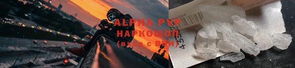 гашик Майский