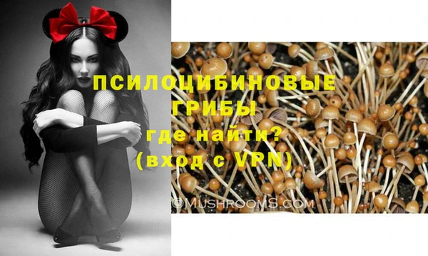 винт Магас