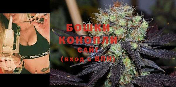 гашик Майский