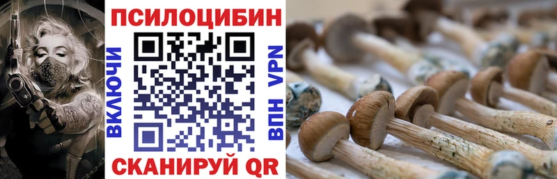 Псилоцибиновые грибы прущие грибы  Купить  Красный Сулин 